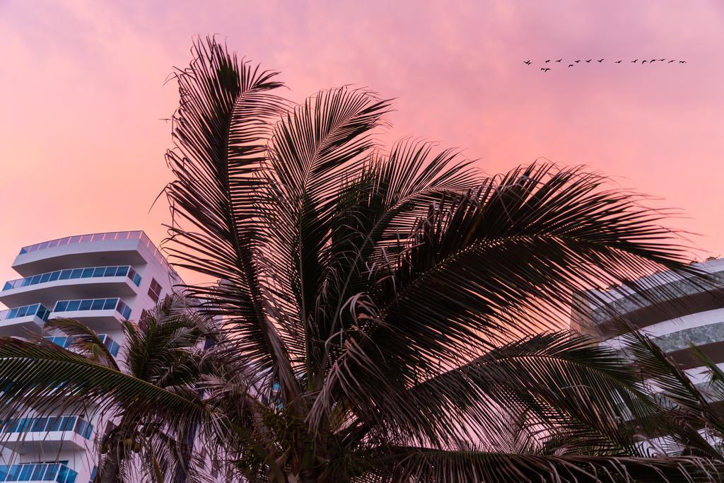 Vistamarina Casa Hotel (Adults Only) Cartagena Dış mekan fotoğraf